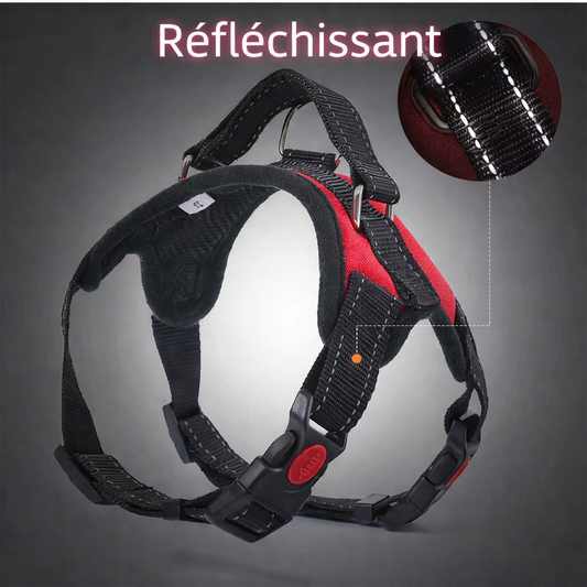 Harnais réfléchissant anti-traction – Confort et sécurité – Toutes tailles