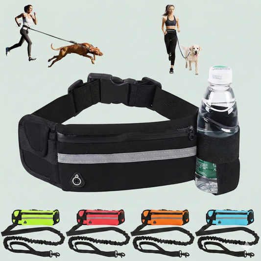 Laisse mains libres – 2,20 mètres