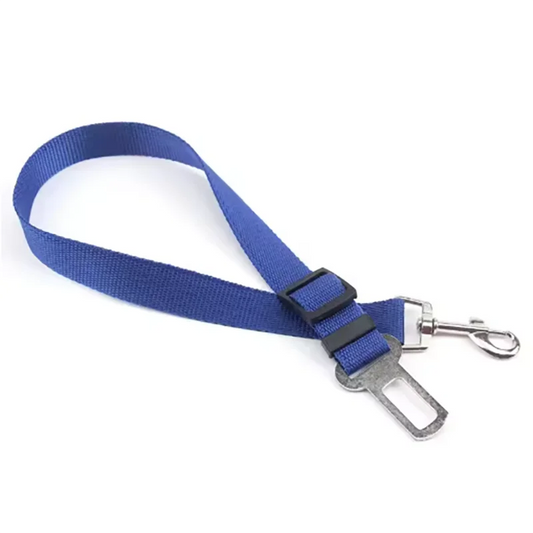 Ceinture de sécurité auto pour chien