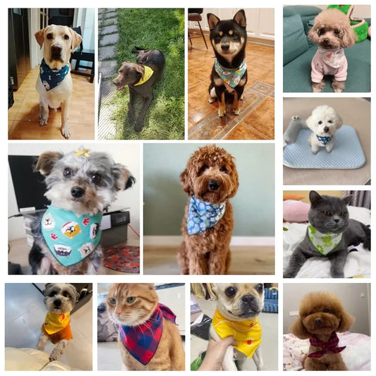 Bandana réglable triangulaire en coton à motifs