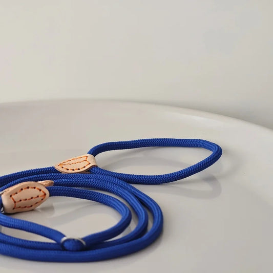 Laisse réglable en corde pour la marche quotidienne