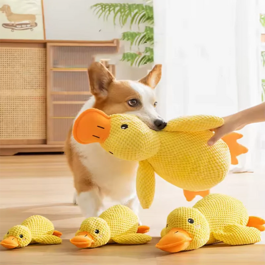 Peluche canard sonore et résistante