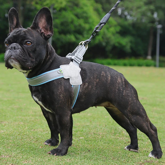 Harnais respirant et réglable pour petits & moyens chiens