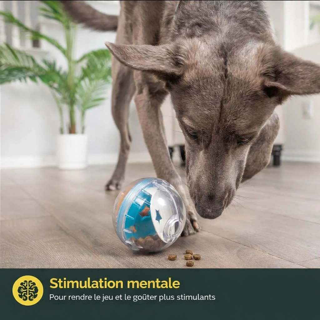 Boule de friandises interactive