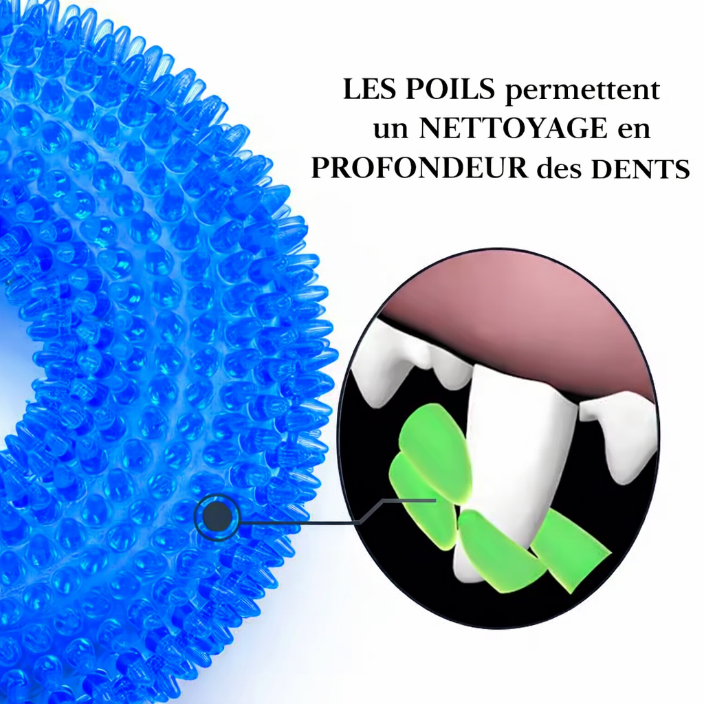 Jouet d'occupation à mâcher rond