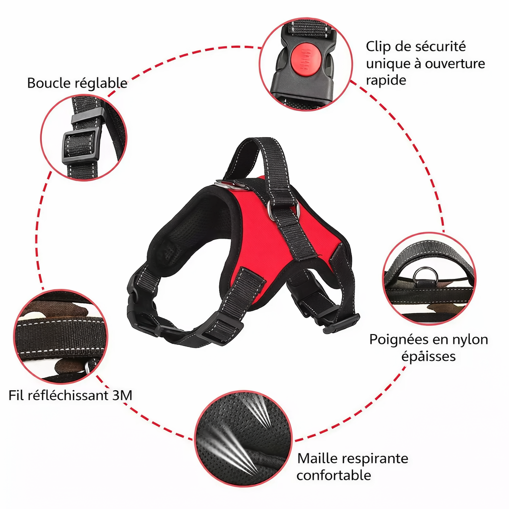 Harnais réfléchissant anti-traction – Confort et sécurité – Toutes tailles