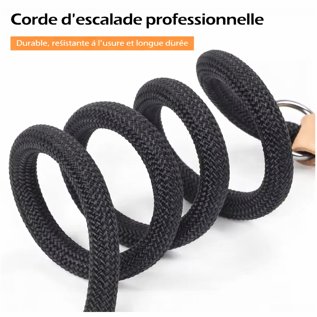 Laisse mains libres multifonction réglable pour 1 ou 2 chiens - 2,1 mètres