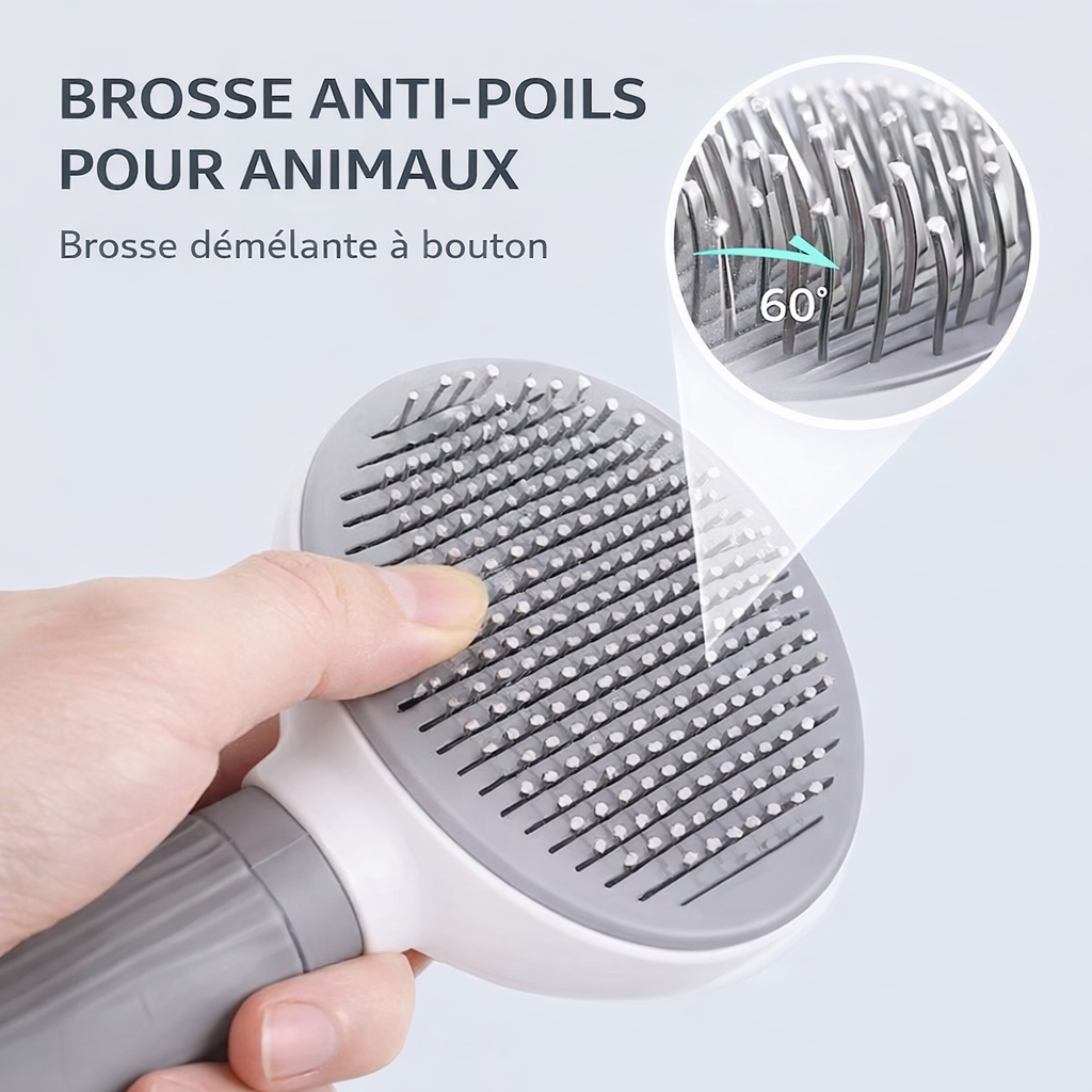 Brosse de toilettage efficace contre poils morts