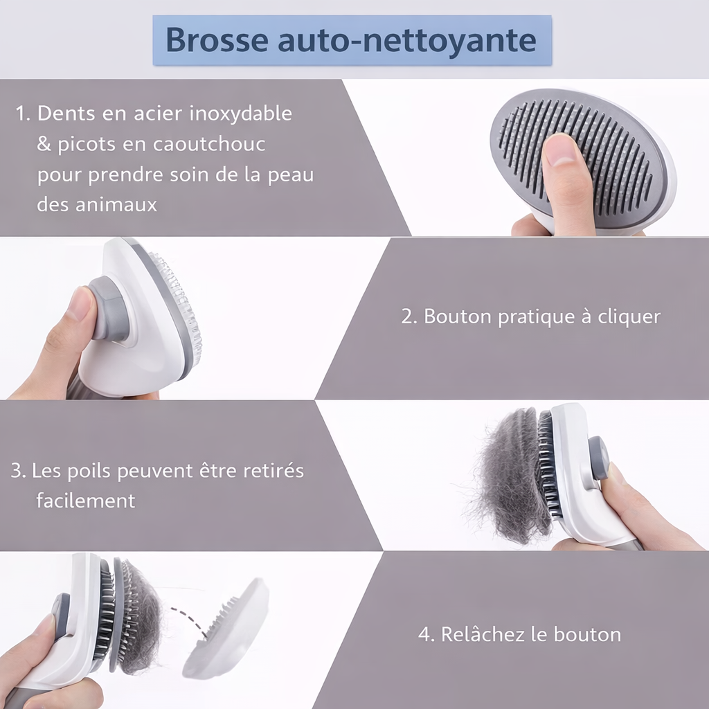 Brosse de toilettage efficace contre poils morts
