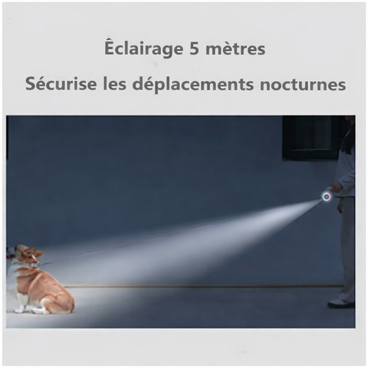 Laisse rétractable LED pour balades nocturnes – Sécurité maximale – 5m