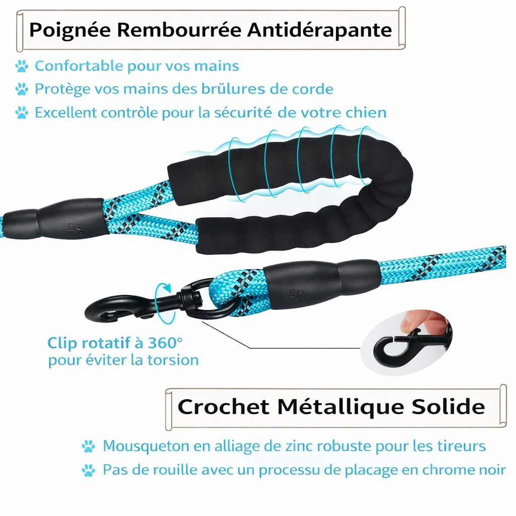 Laisse résistante avec poignée souple – Contrôle et confort – 3m