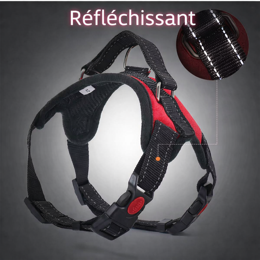 Harnais réfléchissant anti-traction – Confort et sécurité – Toutes tailles