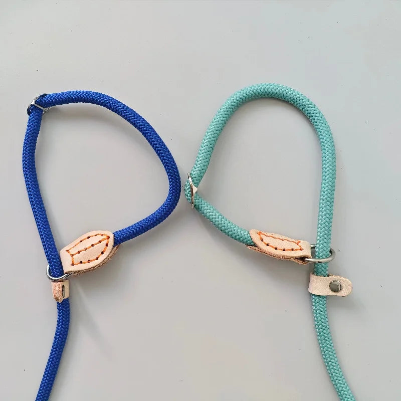 Laisse réglable en corde pour la marche quotidienne