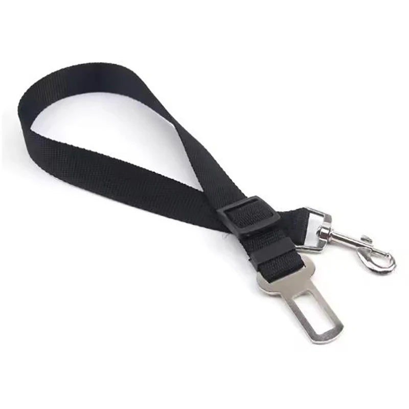 Ceinture de sécurité auto pour chien