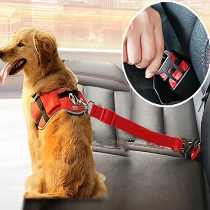 Ceinture de sécurité auto pour chien