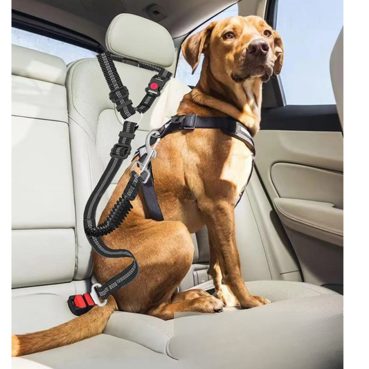 Ceinture de sécurité voiture ajustable