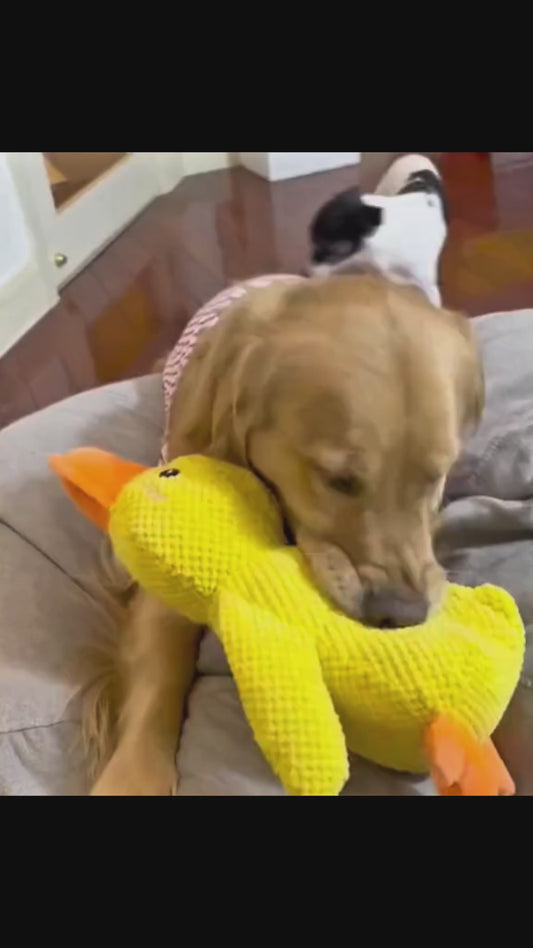 Peluche canard résistante et sonore